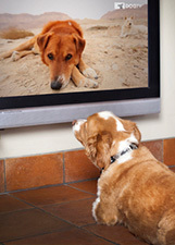 奇妙的节目_完整版在线观看