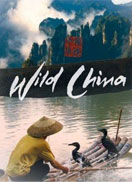 美丽中国_全集在线观看