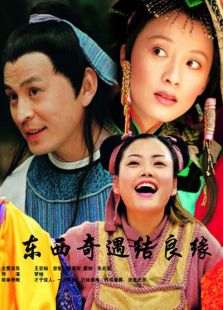 东西奇遇结良缘_高清在线观看