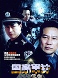 国家审计_高清全集在线观看