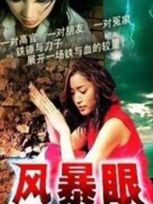 风暴眼_全集在线观看