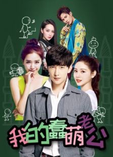 我的蠢萌老公_完整版在线观看