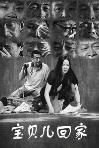 宝贝儿回家_高清在线观看