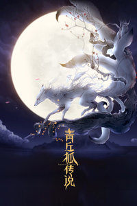 青丘狐传说 D_全集在线观看