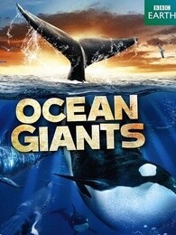 BBC：海洋巨兽_高清全集在线观看
