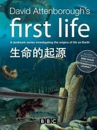 BBC：生命的起源_高清在线观看