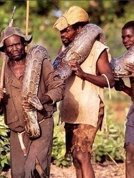 蟒蛇猎人 第三季_高清在线观看