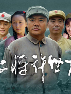 上将许世友_高清在线观看