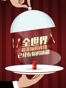 拜托了冰箱 中国版 第一季_高清在线观看