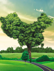 绿色崛起的中国_高清全集在线观看