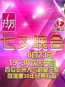 安徽卫视2012七夕晚会_高清在线观看