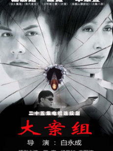 大案组_高清全集在线观看