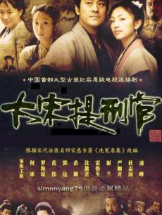 大宋提刑官 第一部_高清全集在线观看
