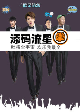 添码流星拳_高清全集在线观看