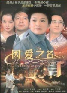 因爱之名_完整版在线观看