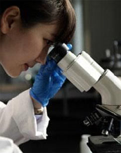 法医密档_高清全集在线观看