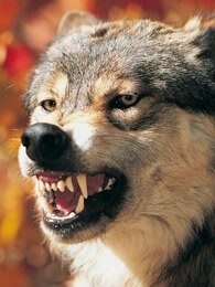 快乐结局_全集在线观看