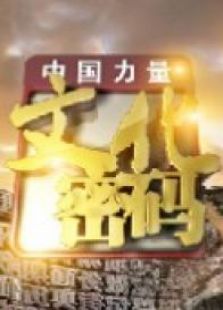 文化密码_高清在线观看