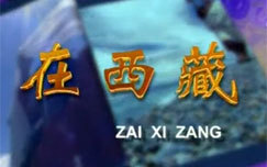 在西藏_高清在线观看