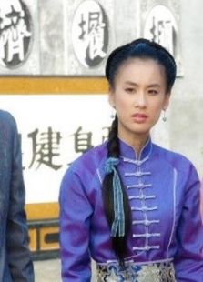 广府太极传奇_完整版在线观看