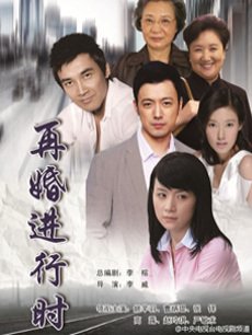 再婚进行时_高清在线观看