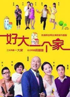 好大一个家_高清全集在线观看