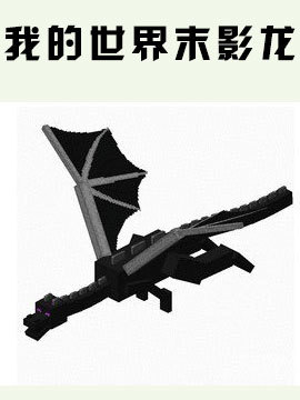 我的世界末影龙_完整版在线观看
