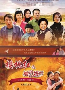 樱桃红之袖珍妈妈_全集在线观看