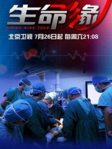 生命缘 第5季_高清在线观看
