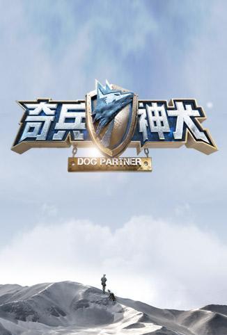 奇兵神犬_完整版在线观看