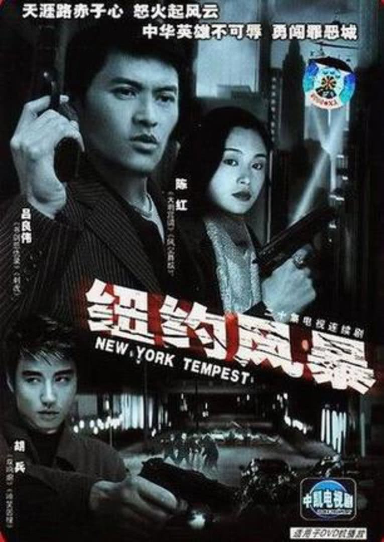 纽约风暴_全集在线观看