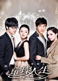 璀璨人生（DVD版）-高清在线观看