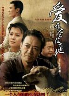 爱在苍茫大地-全集-在线观看