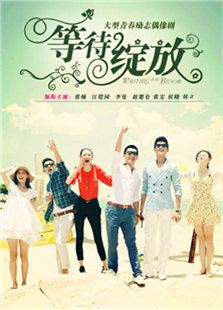 等待绽放-全集-在线观看