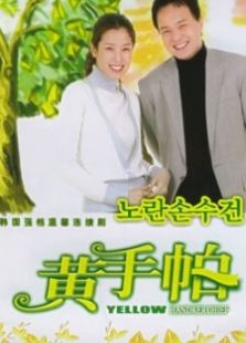 黄手帕（国语版）-全集-在线观看