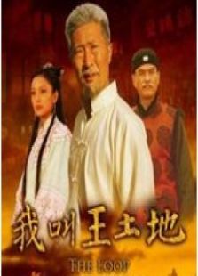 我叫王土地（TV版）-完整版-在线观看