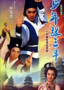 少年张三丰（何家劲版）-全集-在线观看