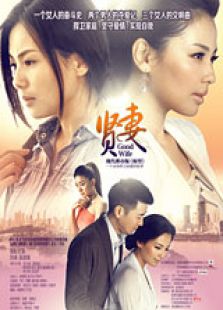 贤妻（TV版）-完整版-在线观看