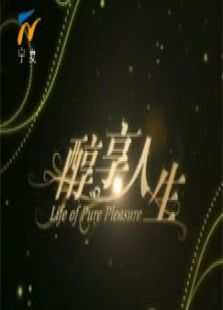 醇享人生_全集在线观看