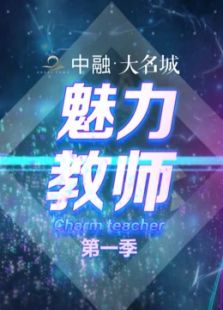 魅力教师_高清在线观看