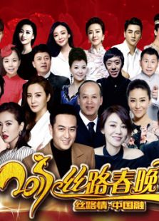 2017陕西卫视春晚_高清在线观看