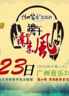2012山东卫视端午节晚会_全集在线观看