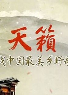 寻找中国最美乡野歌声_全集在线观看