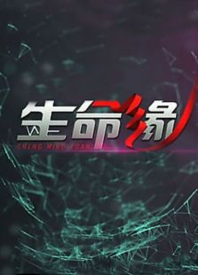 生命缘第三季_在线观看