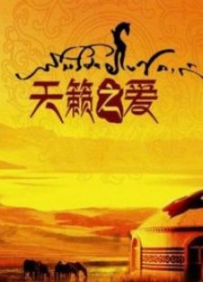 天籁之爱 藏歌会_全集在线观看