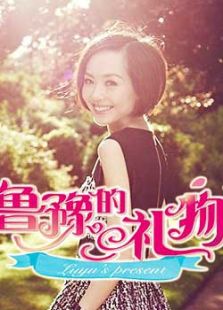 鲁豫的礼物_在线观看