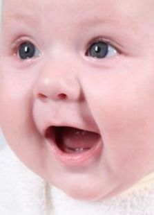 周岁以下幼儿智力开发指南_全集在线观看