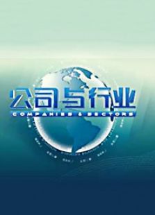 公司与行业_全集在线观看