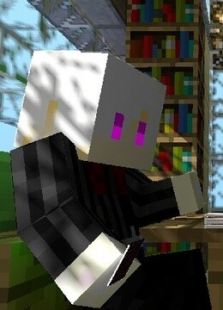 隐者的我的世界魔幻之旅_高清在线观看