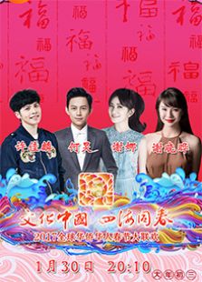 2017全球华侨华人春节大联欢_高清在线观看